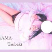 つばき 〝今日も〟 DRAMA（ドラマ）