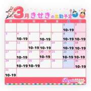 ヒメ日記 2025/03/05 14:40 投稿 きせき ビギナーズ神戸