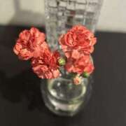 ヒメ日記 2025/11/13 13:21 投稿 きせき ビギナーズ神戸