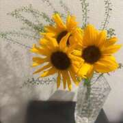 ヒメ日記 2025/11/25 19:11 投稿 きせき ビギナーズ神戸