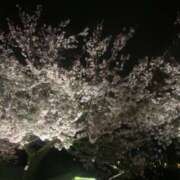ヒメ日記 2025/04/14 15:17 投稿 まき THE・TRY