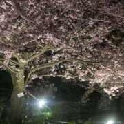 ヒメ日記 2025/04/24 20:47 投稿 まき THE・TRY