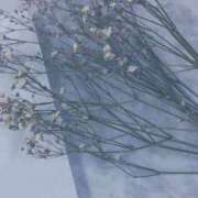 ヒメ日記 2025/12/21 23:08 投稿 まき THE・TRY