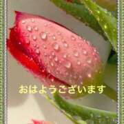 ヒメ日記 2024/12/13 08:42 投稿 なほ 熟女の風俗最終章 高崎店