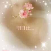 ヒメ日記 2025/01/21 17:08 投稿 なほ 熟女の風俗最終章 高崎店