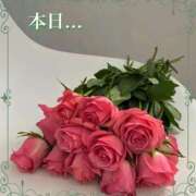 ヒメ日記 2025/01/27 11:43 投稿 なほ 熟女の風俗最終章 高崎店