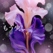 ヒメ日記 2025/02/14 16:08 投稿 なほ 熟女の風俗最終章 高崎店