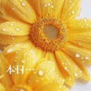 ヒメ日記 2025/02/28 11:03 投稿 なほ 熟女の風俗最終章 高崎店