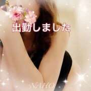 ヒメ日記 2025/03/07 13:58 投稿 なほ 熟女の風俗最終章 高崎店