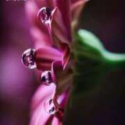 ヒメ日記 2025/03/15 11:48 投稿 なほ 熟女の風俗最終章 高崎店