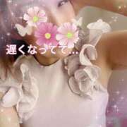 ヒメ日記 2025/04/06 08:48 投稿 なほ 熟女の風俗最終章 高崎店