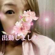 ヒメ日記 2025/04/12 13:08 投稿 なほ 熟女の風俗最終章 高崎店