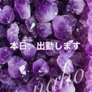 ヒメ日記 2025/04/14 09:18 投稿 なほ 熟女の風俗最終章 高崎店