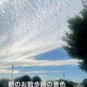 ヒメ日記 2025/06/12 13:08 投稿 なほ 熟女の風俗最終章 高崎店