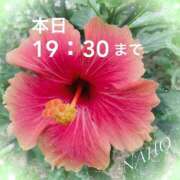 ヒメ日記 2025/06/12 17:48 投稿 なほ 熟女の風俗最終章 高崎店