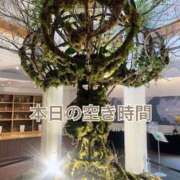 ヒメ日記 2025/06/19 09:40 投稿 なほ 熟女の風俗最終章 高崎店