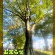 ヒメ日記 2025/10/02 11:11 投稿 なほ 熟女の風俗最終章 高崎店