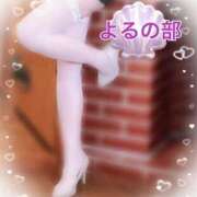 なほ 19日からのシフト予定☺️ 熟女の風俗最終章 高崎店