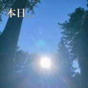 ヒメ日記 2026/01/31 08:25 投稿 なほ 熟女の風俗最終章 高崎店