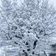 ヒメ日記 2026/02/08 13:18 投稿 なほ 熟女の風俗最終章 高崎店