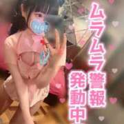 ヒメ日記 2025/03/12 14:20 投稿 しの エデンR