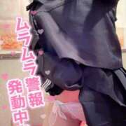 ヒメ日記 2025/05/14 18:57 投稿 しの エデンR