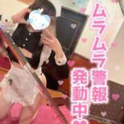 ヒメ日記 2025/11/04 17:11 投稿 しの エデンR