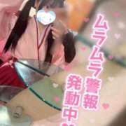 ヒメ日記 2026/01/07 10:59 投稿 しの エデンR