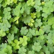 ヒメ日記 2025/05/19 08:42 投稿 うらん ルージュ(会津若松)