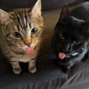 ヒメ日記 2025/08/03 23:33 投稿 うらん ルージュ(会津若松)