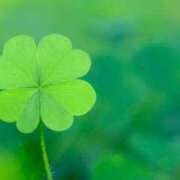 ヒメ日記 2025/08/11 01:06 投稿 うらん ルージュ(会津若松)