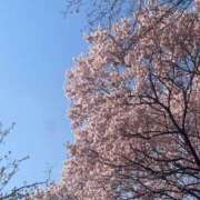 ヒメ日記 2026/03/27 23:48 投稿 うらん ルージュ(会津若松)