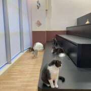 ヒメ日記 2025/08/21 08:27 投稿 音宮　ひなの タッチVIP