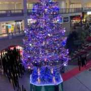 ヒメ日記 2025/11/03 22:33 投稿 音宮　ひなの タッチVIP