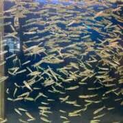 ヒメ日記 2025/11/28 16:42 投稿 音宮　ひなの タッチVIP