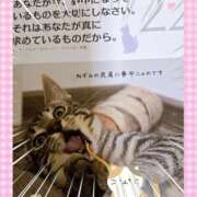 ヒメ日記 2025/02/22 07:55 投稿 はづき 大塚 虹いろ回春