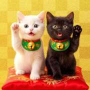 ヒメ日記 2025/12/31 17:47 投稿 はづき 大塚 虹いろ回春