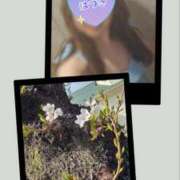 ヒメ日記 2026/03/29 09:48 投稿 はづき 大塚 虹いろ回春