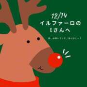 ヒメ日記 2023/12/14 14:42 投稿 もも奥様 金沢の20代30代40代50代が集う人妻倶楽部