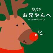 ヒメ日記 2023/12/14 14:57 投稿 もも奥様 金沢の20代30代40代50代が集う人妻倶楽部