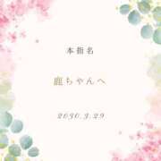 ヒメ日記 2024/03/29 18:03 投稿 もも奥様 金沢の20代30代40代50代が集う人妻倶楽部