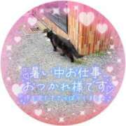 ヒメ日記 2026/08/26 16:40 投稿 きょうか 熟女の風俗最終章 西川口店