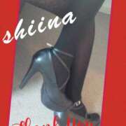 ヒメ日記 2025/02/27 14:56 投稿 椎名 やみつきの館　鶯谷店