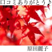 ヒメ日記 2023/11/09 08:16 投稿 原田麗子 五十路マダム　広島店