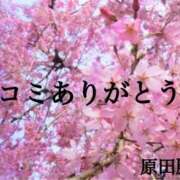 ヒメ日記 2024/04/24 08:42 投稿 原田麗子 五十路マダム　広島店