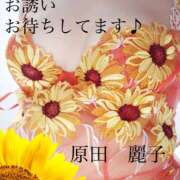 ヒメ日記 2024/06/21 17:50 投稿 原田麗子 五十路マダム　広島店