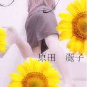 ヒメ日記 2025/03/23 13:58 投稿 原田麗子 五十路マダム　広島店