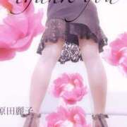 ヒメ日記 2025/03/23 14:56 投稿 原田麗子 五十路マダム　広島店