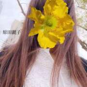 ヒメ日記 2025/04/16 16:18 投稿 原田麗子 五十路マダム　広島店