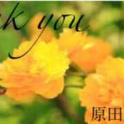 ヒメ日記 2025/04/16 20:44 投稿 原田麗子 五十路マダム　広島店